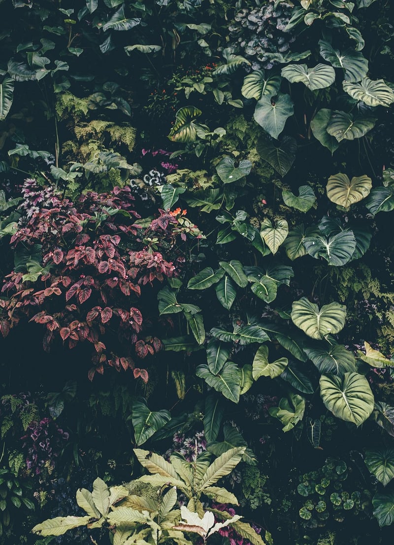 Botanical Garden